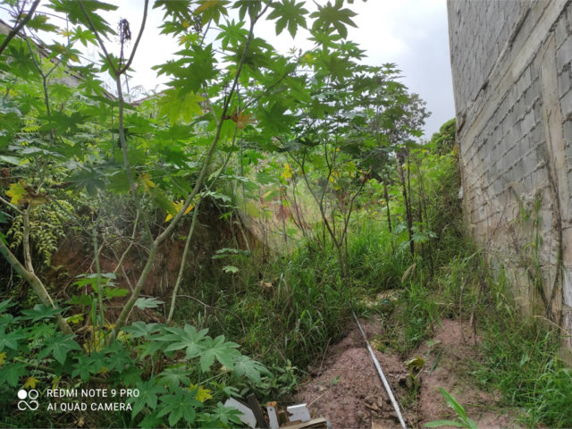 Terreno à venda em Santana, São Paulo, SP