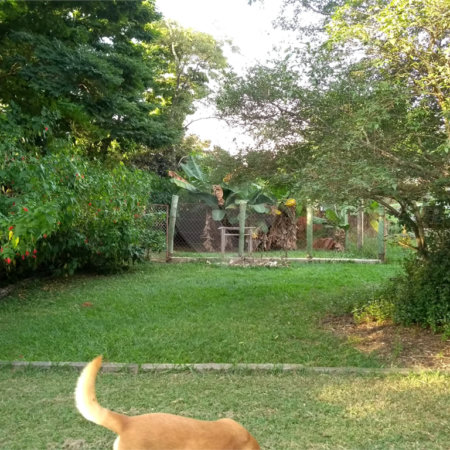 Chácara à venda em Altos da Bela Vista, Indaiatuba, SP