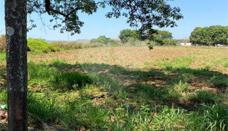 Terreno à venda em Recreio Anhangüera, Ribeirão Preto, SP