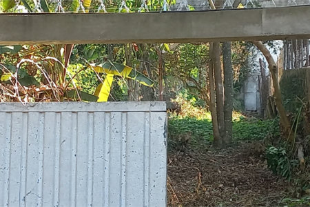 Terreno à venda em Vila Tramontano, São Paulo, SP