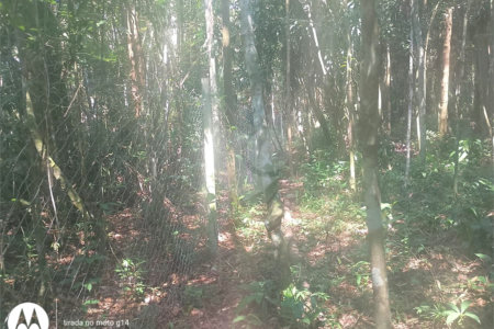 Terreno à venda em Dos Finco, São Bernardo do Campo, SP