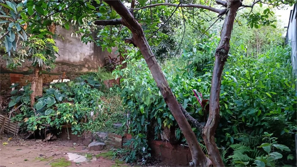 Terreno a Venda em Pirituba