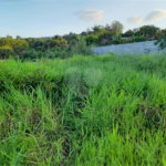 Terreno à venda em Jardim Paraíso do Tanque, Atibaia, SP