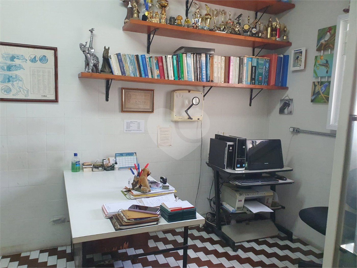 Sobrado à venda com 3 quartos em Vila Nova Cachoeirinha, São Paulo, SP