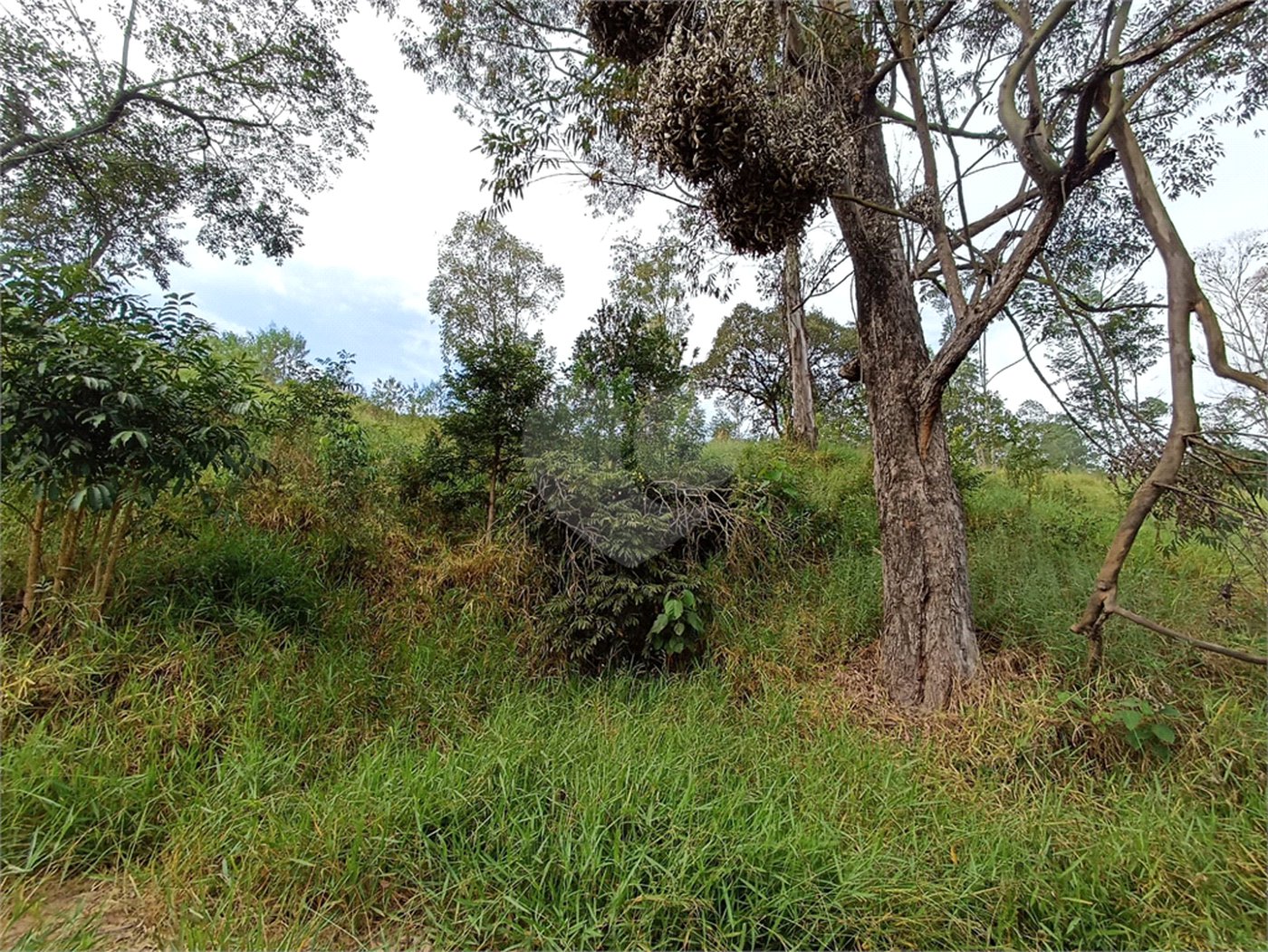 Terreno à venda em Jardim Monte Santo, Itapetininga, SP