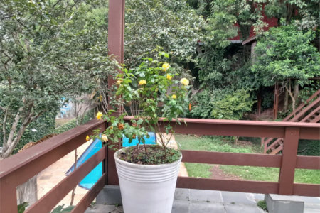 Sobrado à venda com 6 quartos, sendo 3 suítes,  em Rolinópolis, São Paulo, SP