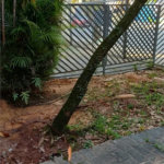 Sobrado à venda ou para alugar com 5 quartos, sendo 1 suíte,  em Vila Ida, São Paulo, SP