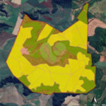 Fazenda à venda com 7 quartos em Área Rural de Guarapiranga, Ribeirão Bonito, SP