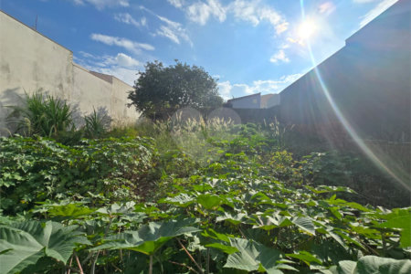 Terreno à venda em Vila Nastri, Itapetininga, SP