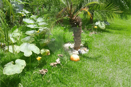 Casa à venda com 3 suítes em Moinho Velho, Cotia, SP
