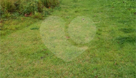 Terreno para alugar no Centro, Vinhedo, SP
