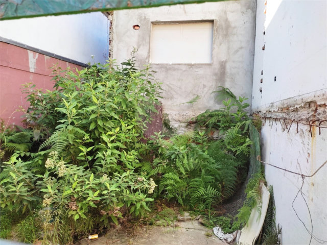 Terreno à venda em Vila Guilherme, São Paulo, SP