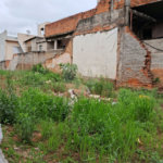 Terreno à venda em Mandaqui, São Paulo, SP