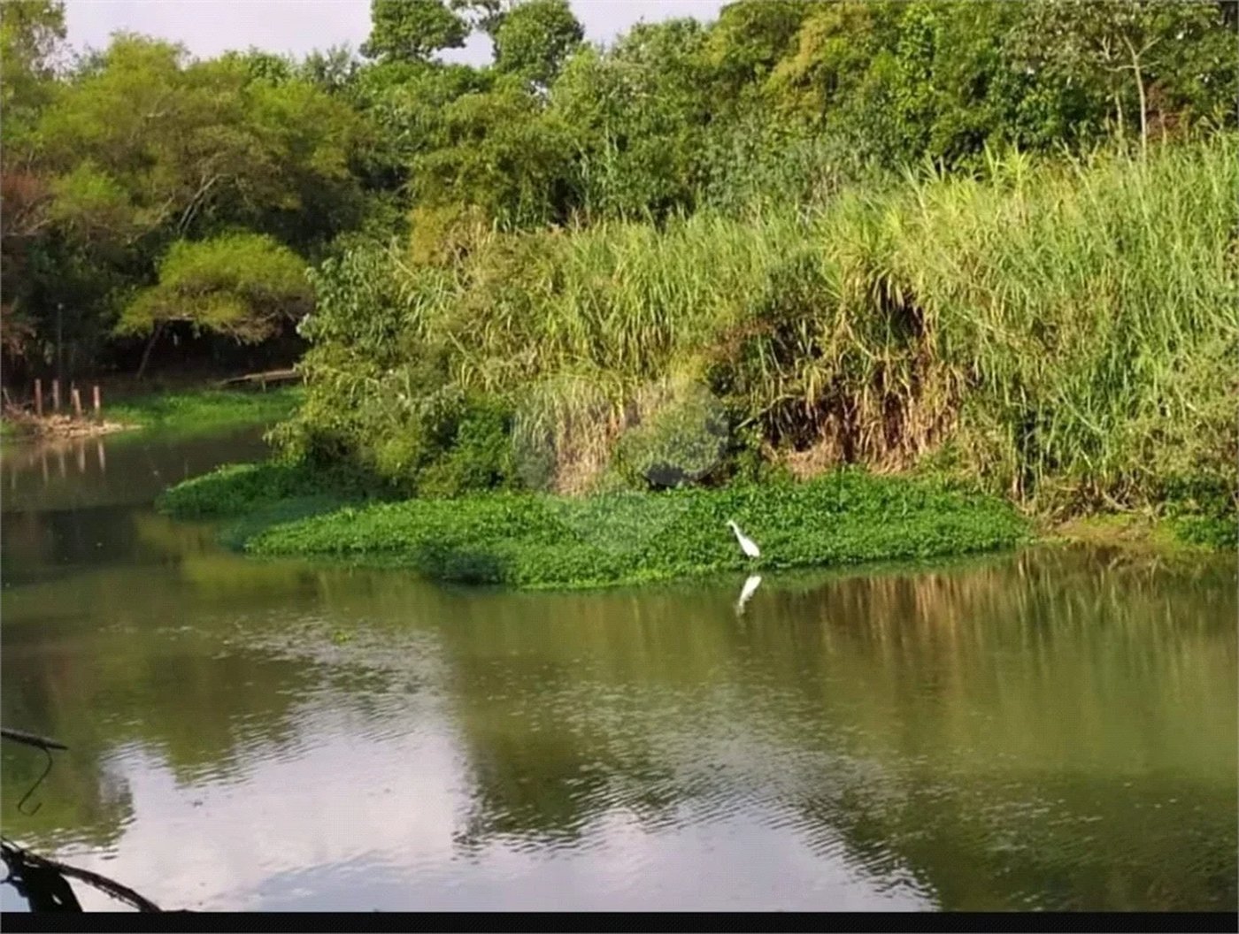 Chácara à venda com 5 quartos, sendo 2 suítes, em Chácara Recreio Danubio, Holambra, SP