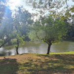 Casa à venda com 4 suítes no condomínio Marambaia, Vinhedo - SP
