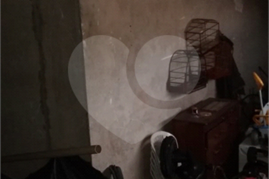 Sobrado à venda com 2 quartos em Tucuruvi, São Paulo, SP
