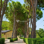 Apartamento com 1 quarto à venda em San Lucido – A 500 m da praia