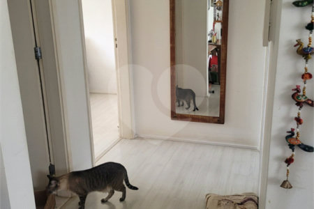 Apartamento à venda com 2 quartos em Jardim Paulistano, São Paulo, SP