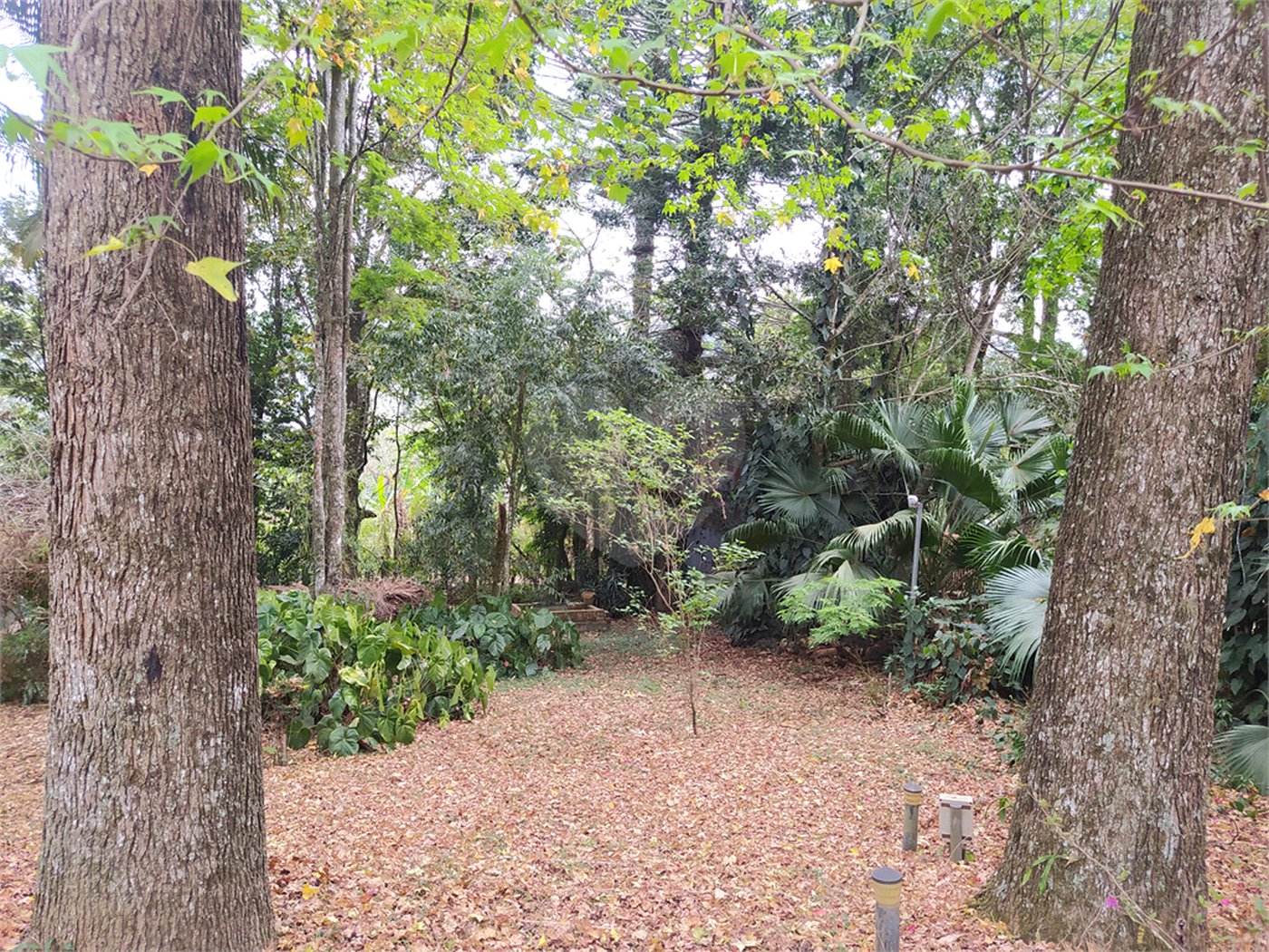 Chácara à venda com 5 quartos, sendo 1 suíte, no Centro (mailasqui), São Roque, SP