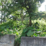 Terreno à venda em Vila Irmãos Arnoni, São Paulo, SP