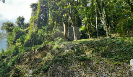 Terreno à venda em Roseira, Mairiporã, SP