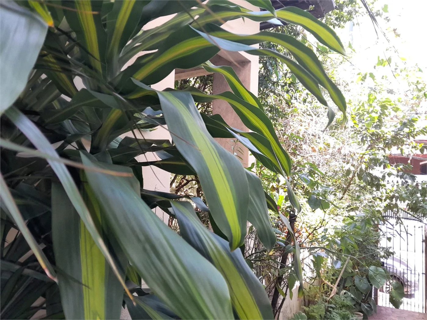Casa à venda com 4 quartos em Vila Ipojuca, São Paulo, SP