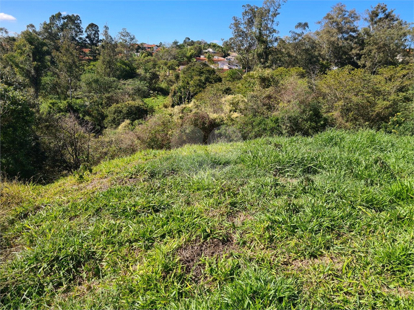 Terreno à venda em Bosque, Vinhedo, SP