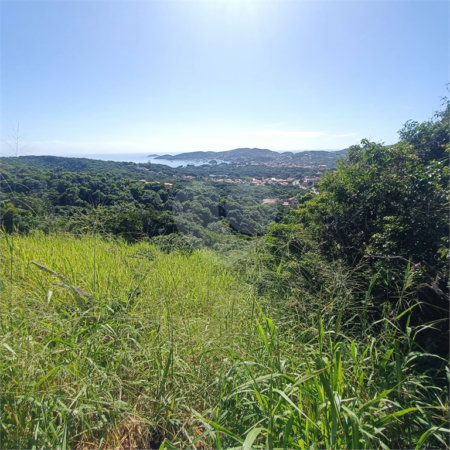 Terreno à venda em Tartaruga, Armação dos Búzios, RJ
