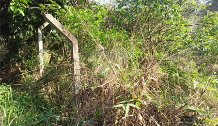 Terreno à venda em Bosque dos Eucalíptos, Atibaia, SP