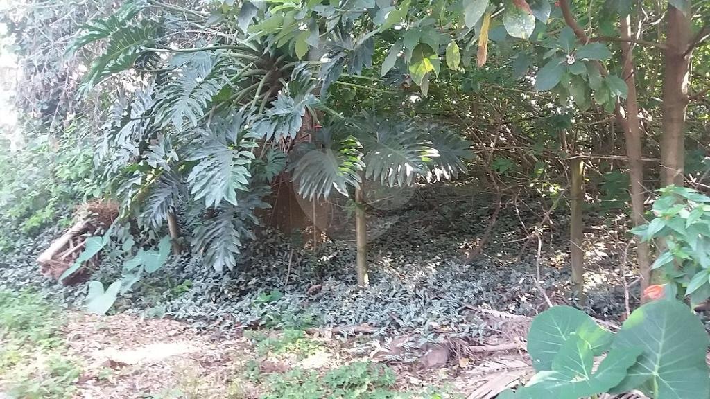 Terreno à venda em Tremembé, São Paulo, SP