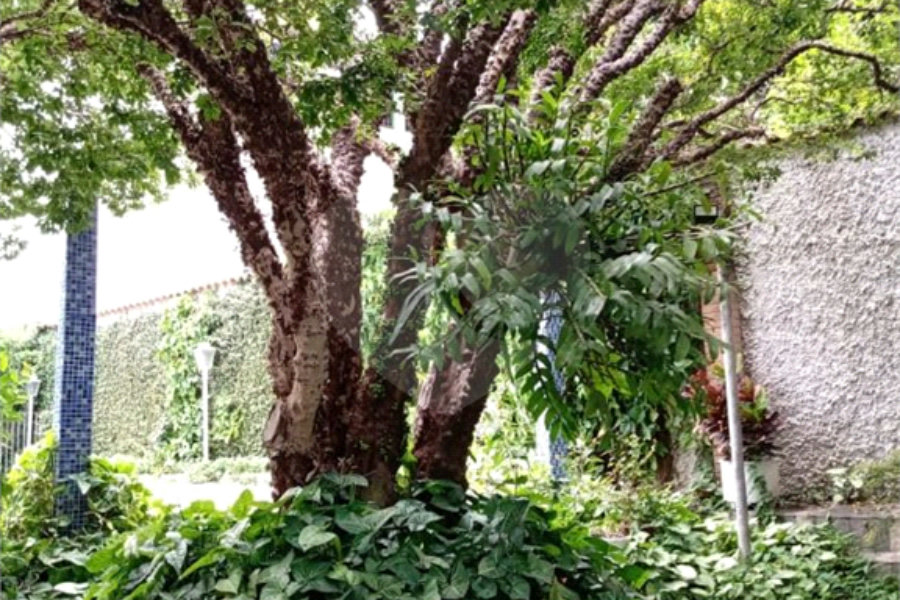 Sobrado à venda com 3 quartos, sendo 1 suíte, em Vila Nova Mazzei, São Paulo, SP