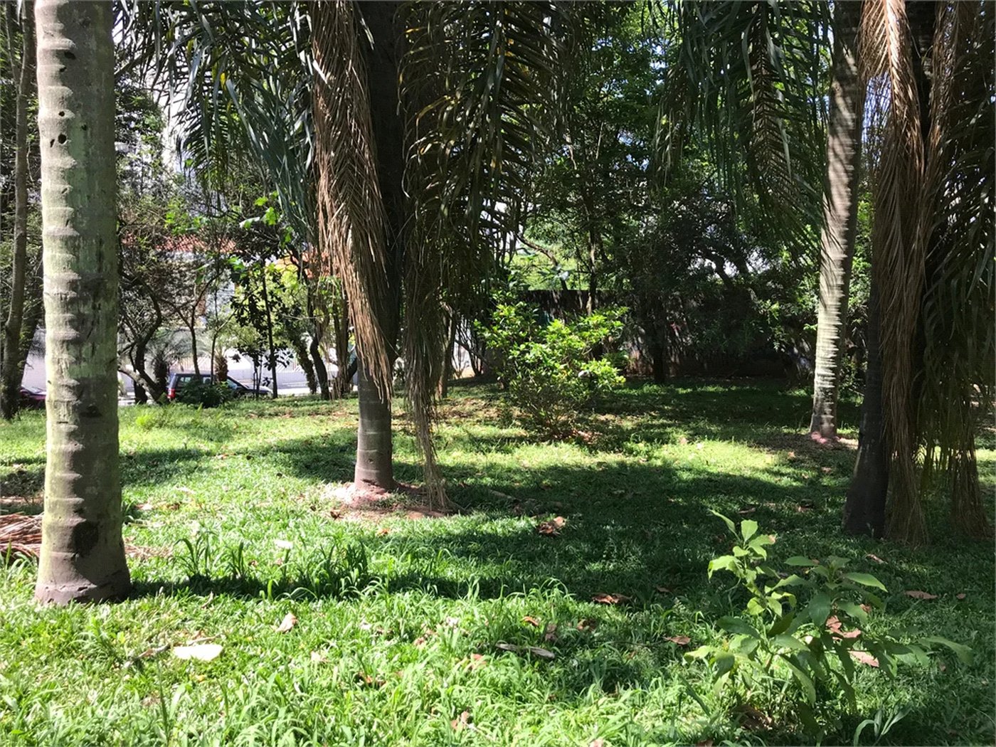 Terreno à venda em Lar São Paulo, São Paulo, SP