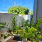 Casa à venda com 3 quartos, sendo 2 suítes, em Residencial Village Damha, Araraquara, SP
