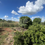 Casa à venda com 4 quartos, sendo 1 suíte, em Mato Seco, Itapetininga, SP