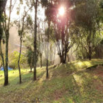 Sobrado à venda com 5 quartos, sendo 1 suíte, em Olho D'água, Mairiporã, SP