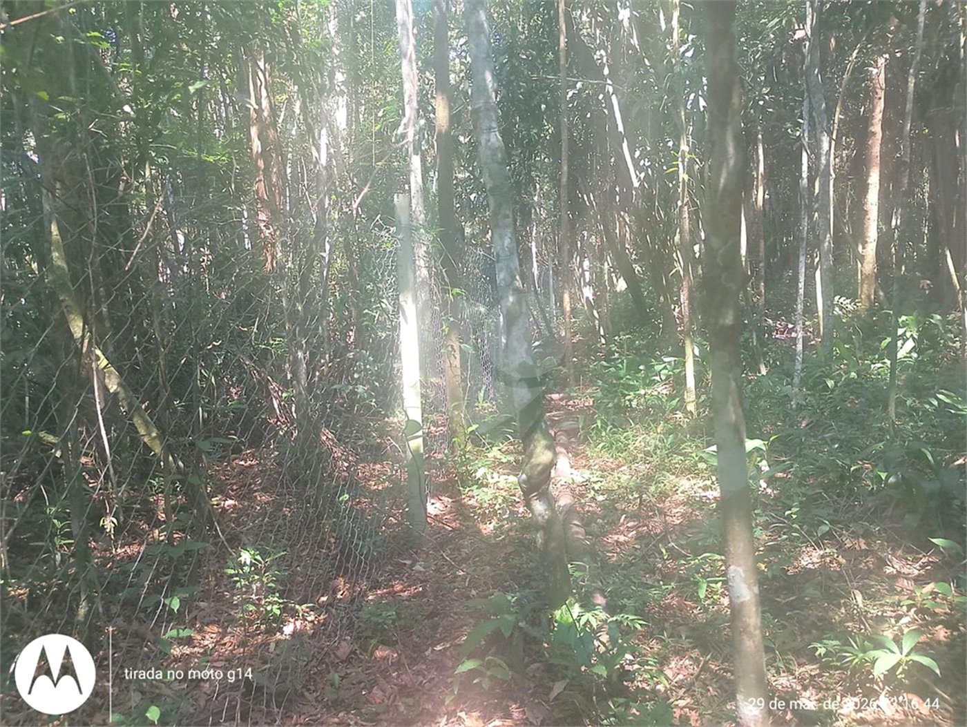 Terreno à venda em Dos Finco, São Bernardo do Campo, SP