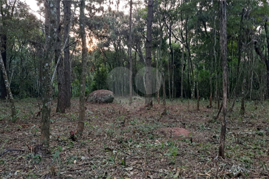 Terreno à venda em Roseira, Mairiporã, SP