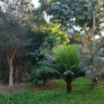 Casa Térrea à venda com 3 quartos em Horto Florestal, São Paulo, SP