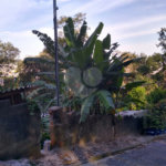 Terreno à venda em Tucuruvi, São Paulo, SP
