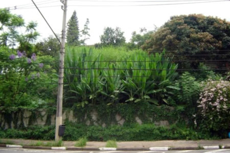 Terreno à venda em Vila Andrade, São Paulo, SP