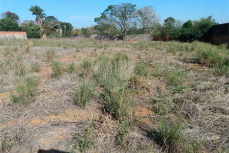 Terreno à venda em Jardim Colombo, Itapetininga, SP