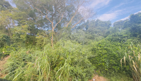 Terreno à venda em Caravelas, Armação dos Búzios, RJ