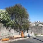 Terreno à venda em Freguesia do Ó, São Paulo, SP