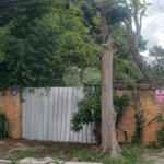 Terreno à venda em Tremembé, São Paulo, SP