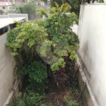 Casa térrea com duas edículas para venda - Saúde, SP.