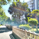Apartamento à venda com 2 quartos em Jardim Santa Mônica, São Paulo, SP