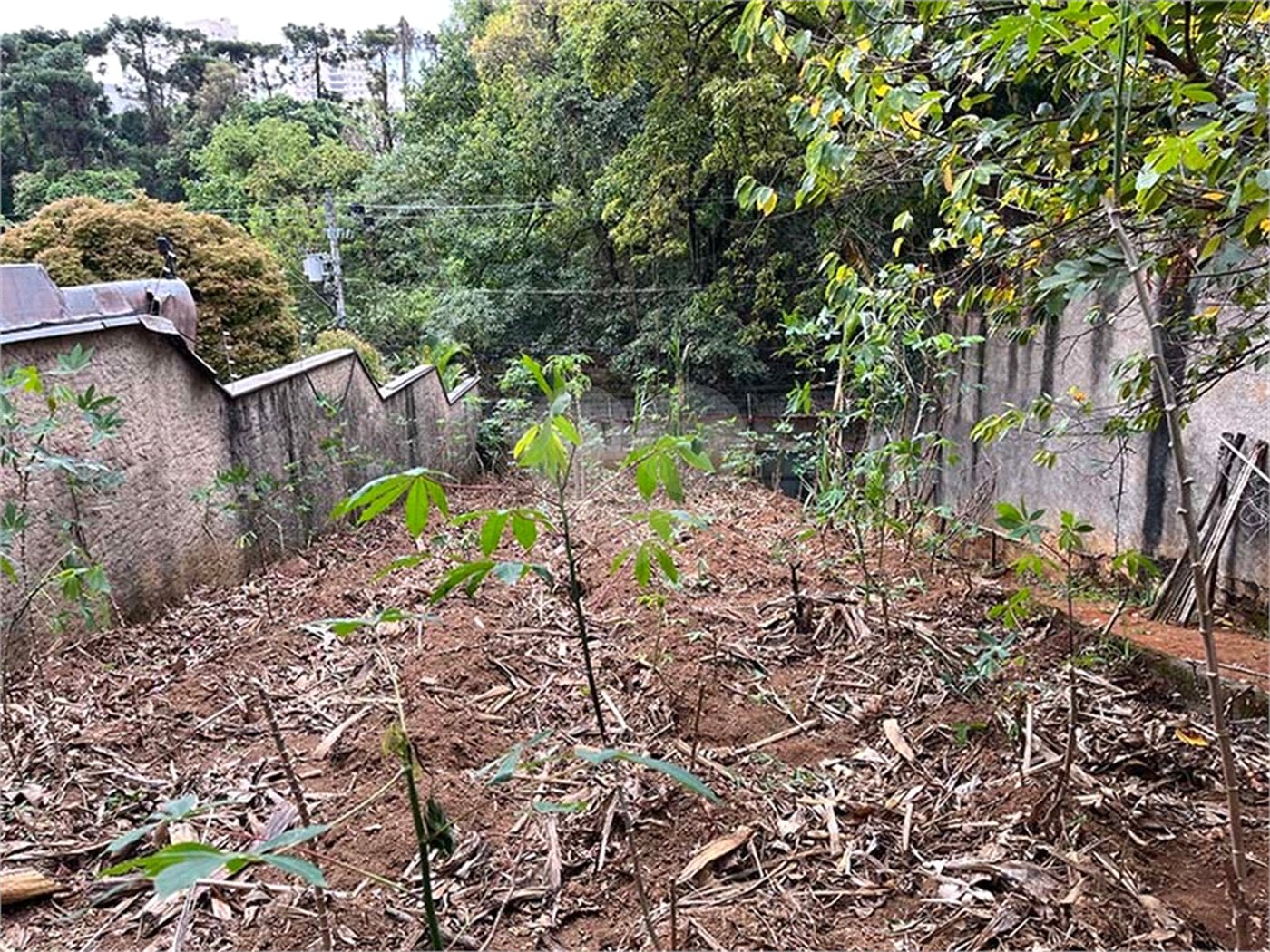 Terreno à venda em Santana, São Paulo, SP