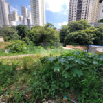 Terreno à venda com 1 quarto em Água Fria, São Paulo, SP