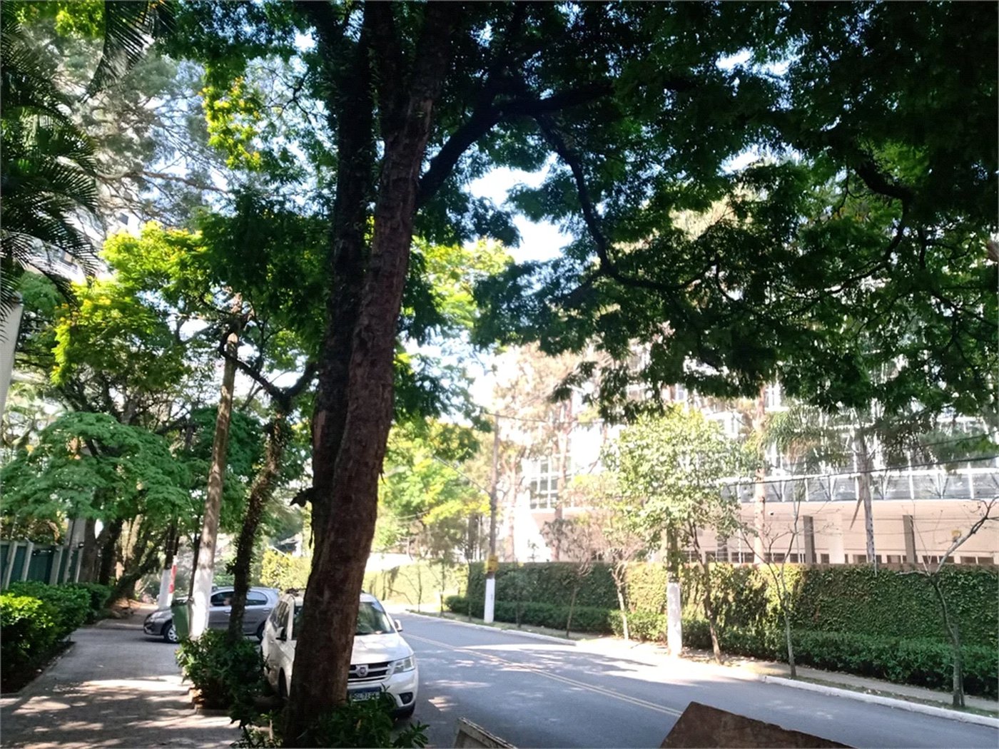 Apartamento à venda com 2 quartos, sendo 1 suíte,  em Vila Suzana, São Paulo, SP