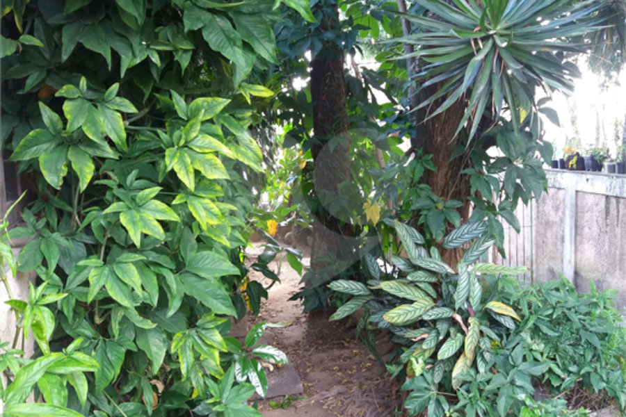 Terreno à venda com 3 quartos em Vila Guilherme, São Paulo, SP